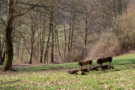 DSCF8963.jpg